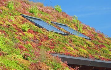 Rydeshill living roof systems